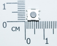 Кнопка тактовая SMD 6 * 6 * 3,1 мм IT-1157BHNP-160G-G (DTSMW-66N-V-T/R) (серая, с заземлением)